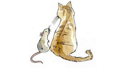 Photo of Fairy tale cat and mouse