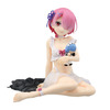 The last one prize is the Rem bust wearing a cat-eared hoodie, 